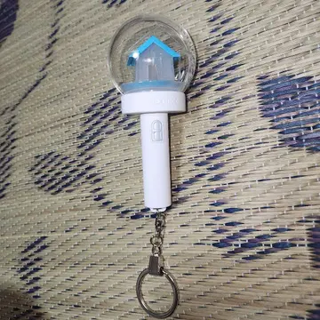 BOYNEXTDOOR OFFICIAL LIGHT STICK KEYRING
