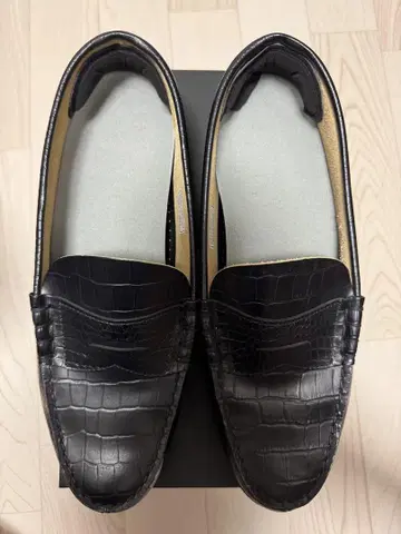 KENFORD '크로커다일' Kenford 28