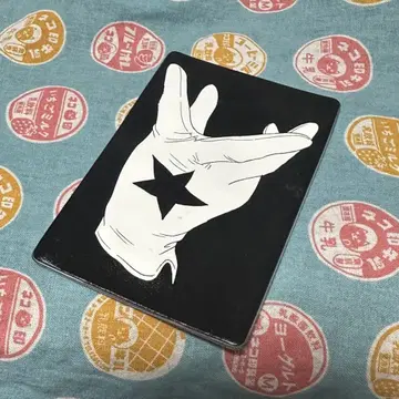 라이치 빛 클럽 패스 케이스