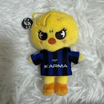 Straykids 스키즈 karma skzoo ver 포가리 필릭스