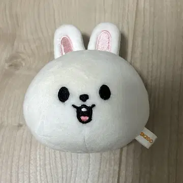 Straykids 스키즈 서울콘 스트레스 볼 리노 leebit 리비