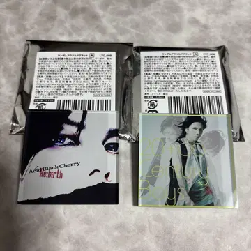 acid black cherry 랜덤 아크릴 마그넷