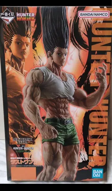 HUNTER x HUNTER 제일복권 곤 라스트 원