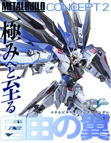 METAL BUILD 메탈빌드 프리덤 건담 concept 2