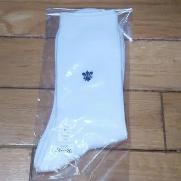 백합학원 지정 삭스
