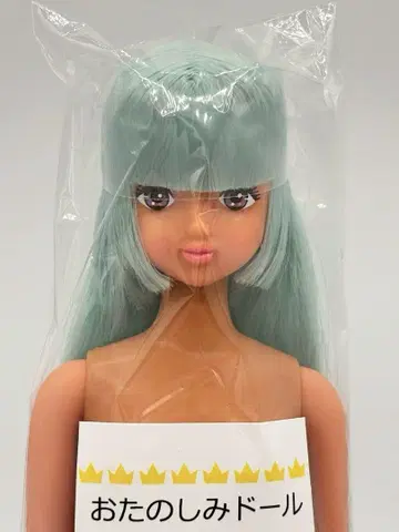 카오리짱 일광화상 스카이블루 머리카락 리카짱 캐슬 오타노시미 인형 제니