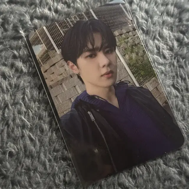 엔시티 쿤 앨범 포토카드