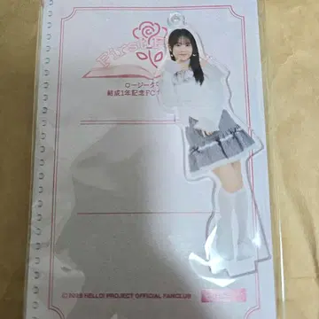 로지 크로니클 하시타 아유카 솔로 아크릴 스탠드 키링 fsk