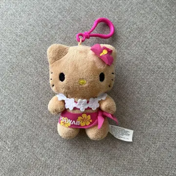 하와이 일광화상 키티