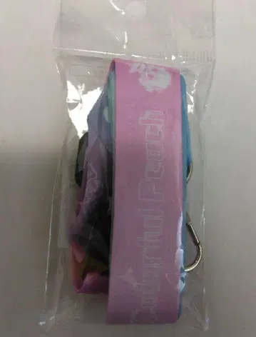 컬러풀 피치 넥스트랩