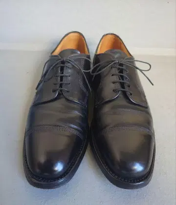 Allen Edmonds Hampstead 9.5 D