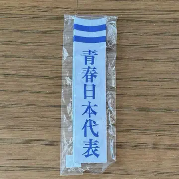 M 사이즈 [ 새상품 ] 새로운 학교의 리더즈 양말 삭스 청춘 일본 대표