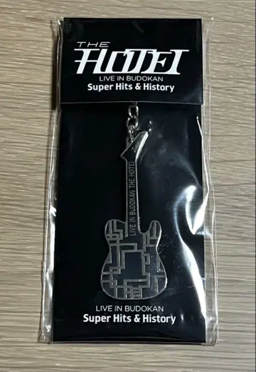 호테이 토모야스 2024년 일본 무도관 라이브 기타형 키링