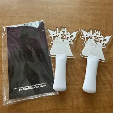 쇼타 시미즈 응원봉 2025 Pulsatilla Cernua