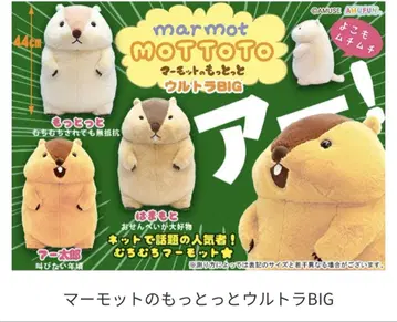 마모트의 마토토 울트라 BIG 봉제 인형 컴플리트