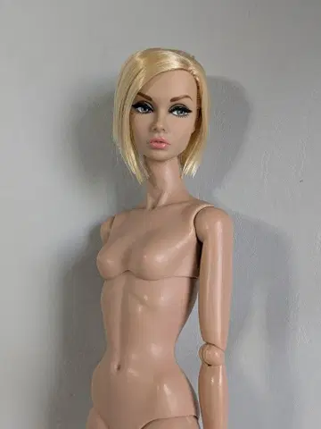 poppy parker 커스텀 본체만