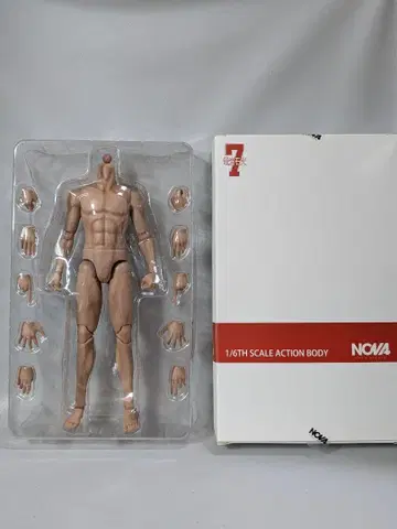 1/6 남성 바디 피규어