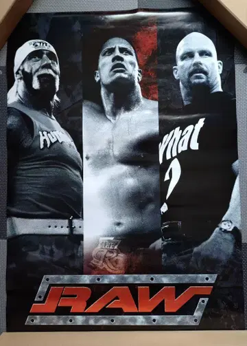 WWE 포스터 (더 록, 호건, 스톤 콜드)