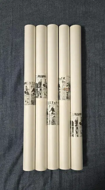 BLEACH B3 포스터 5종 세트