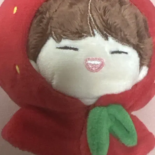 인피니트 김성규 규꼬미 피릿츠 뀨뀨 응원봉 커버 일괄