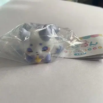 데비룬 Summer 룬룬 쌔근쌔근