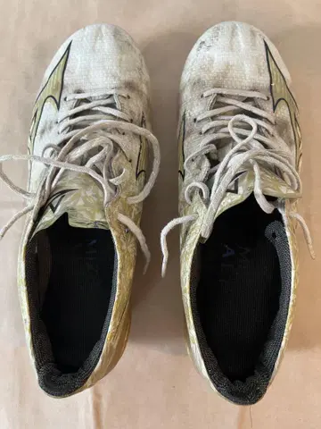 MIZUNO 알파 엘리트 24.5cm