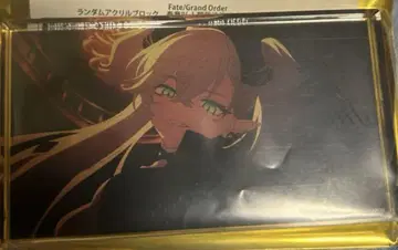 FGO fes 아크릴 블록 릴리스
