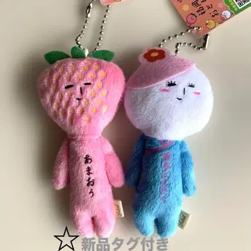 [택 포함 새상품] 유키오 후쿠오카의 친구 하카타 돈타쿠 아마오우