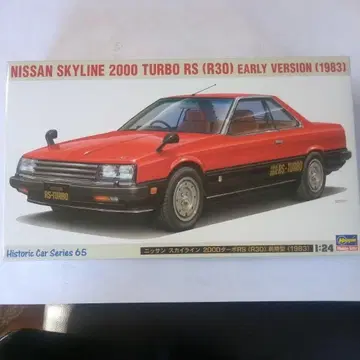 하세가와 스카이라인 HT 2000 TURBO RS