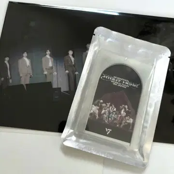 RIGHT HERE IN JAPAN 데지코 SEVENTEEN