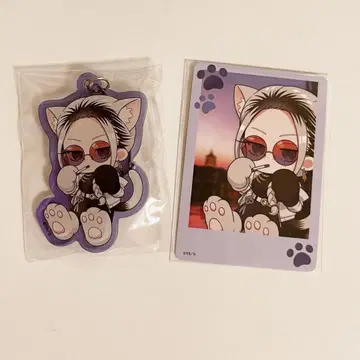 극락가 타오 고양이 세트