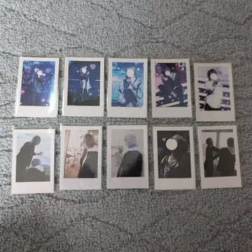 이레귤러즈 쇼토 실사 폴라로이드 10장 세트