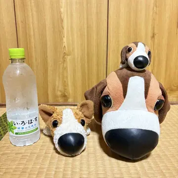 THE DOG 빅 코 개 3개