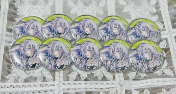 아이나나 Re:vale 센 캔 배치 10개