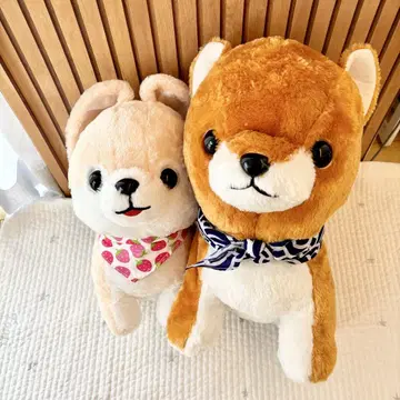 시바견 삼형제 봉제 인형 2개 세트