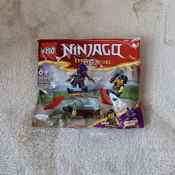 [ 새상품 ] LEGO NINJAGO DRAGONSRISING