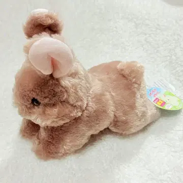 토끼 네덜란드 드워프 봉제 인형 다이토 한정판