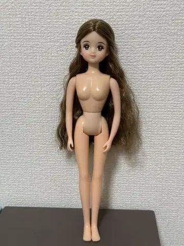 리카짱 캐슬 오타노시미 인형 미호짱