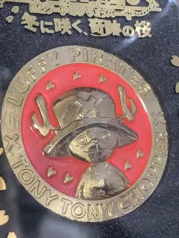 ONEPIECE 메달 초파