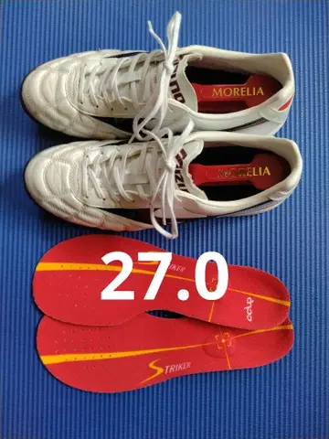 축구 트레이닝 슈즈 트레이닝화 모레리아 TF 27cm 덤 포함