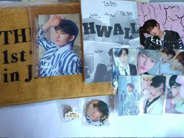 THE BOYZ 도보이즈 활