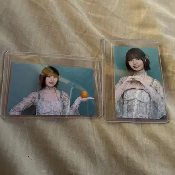 노기자카46 미니 브로마이드 네이블 오렌지 나카니시 아루노 세미 컴프
