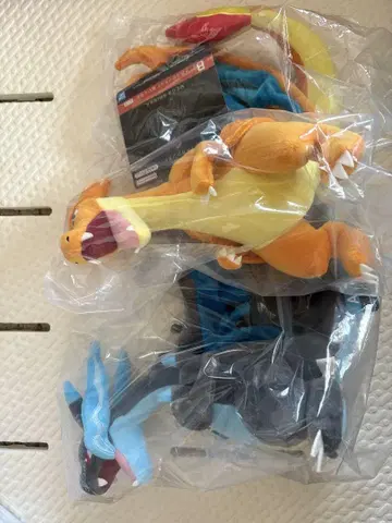 메가리자몽Y 메가리자몽X