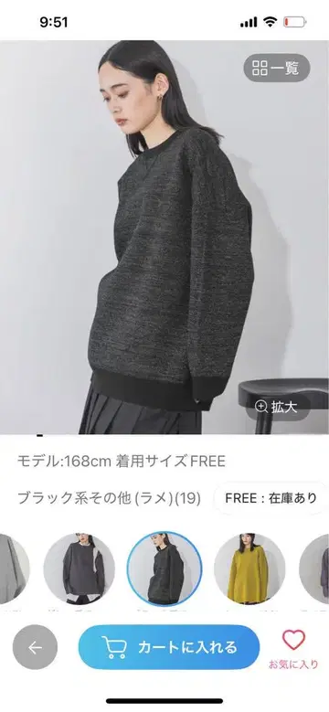 지나시스 자카드 볼륨 슬리브 풀오버 라메
