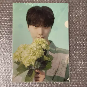 SEVENTEEN 디노 HANABI 클리어 파일 2매입