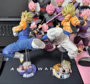 BLOOD OF SAIYANS 베지트 오지터