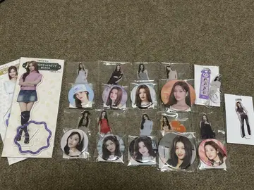 TWICE 사나 아크릴 스탠드 캔뱃지 묶음 판매