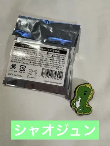WayV 샤오쥔 핀 배지