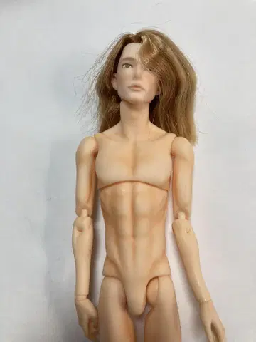 육분의 일 남자 도감 나인