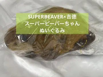 SUPERBEAVER 비버짱 봉제 인형 요시토쿠